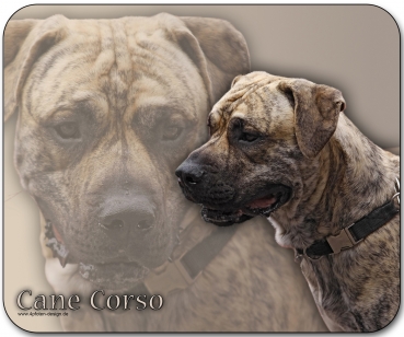 Mousepad Cane Corso #2